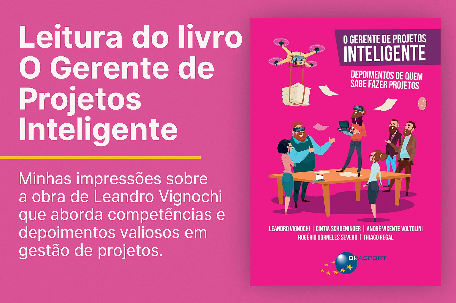 O Gerente de Projetos Inteligente - Leandro Vignochi