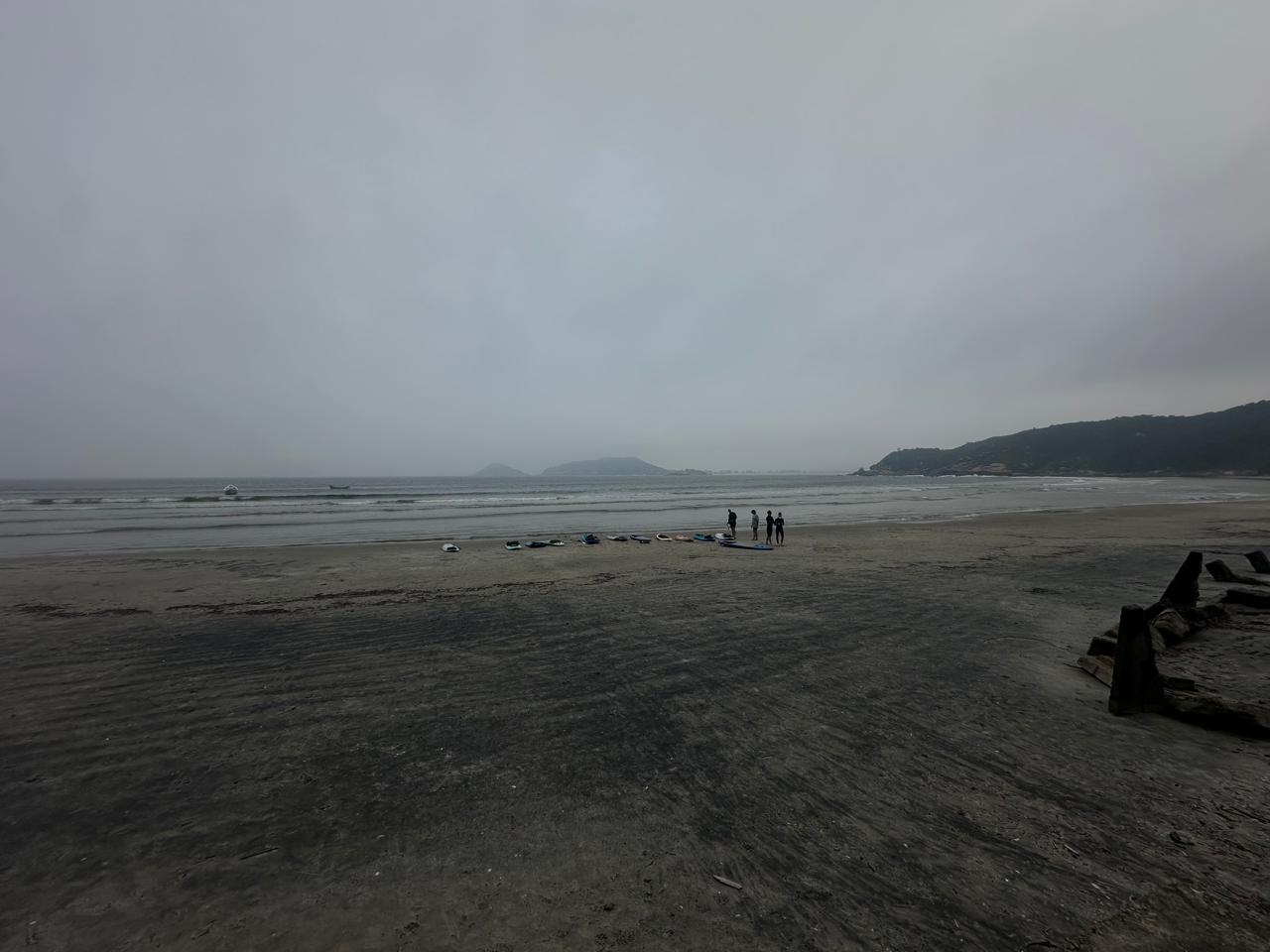 Naufragados, Neblina